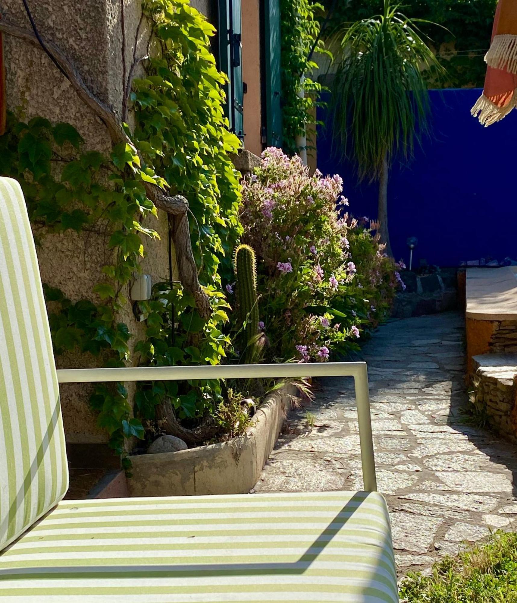 Villa Maison Mediterraneenne Proche Du Coeur De Ville, Avec Piscine *